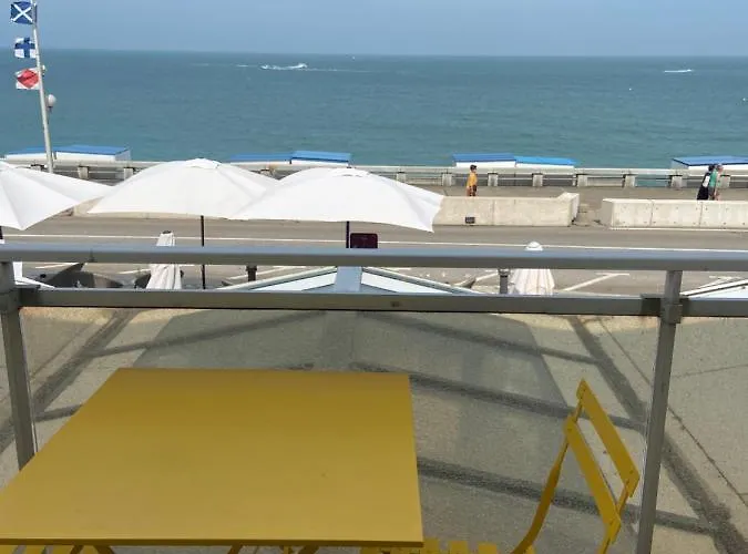 Hôtel accueillant les animaux: New Hotel De La Mer