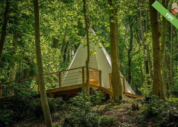 Woody Park